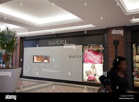 gucci waterfront|Gucci waterfront number.